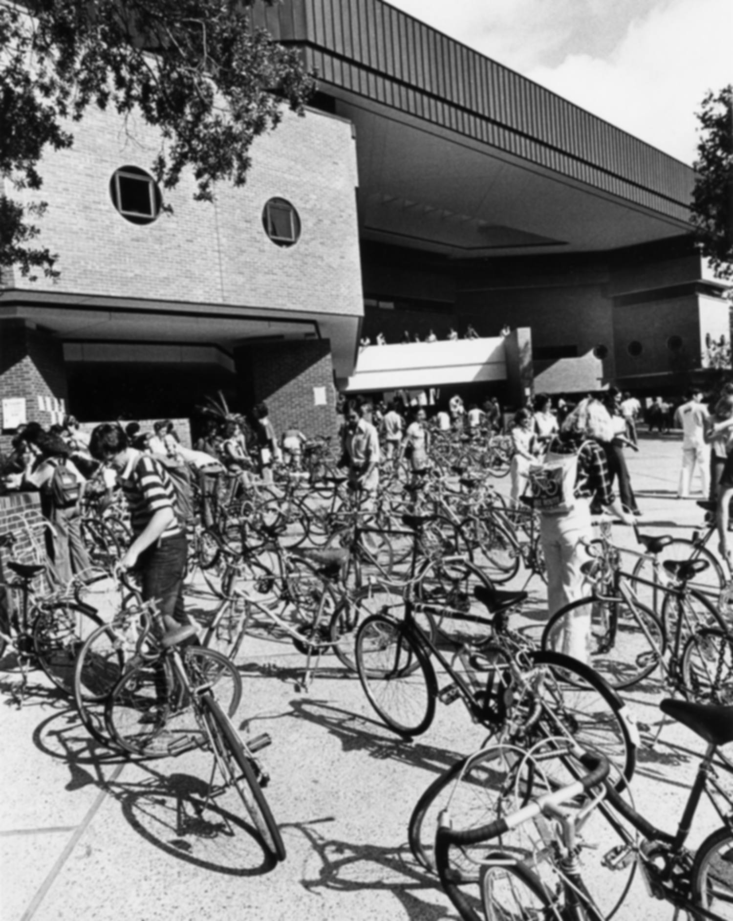 Bikes at parked at Turlington Hall c. 1980