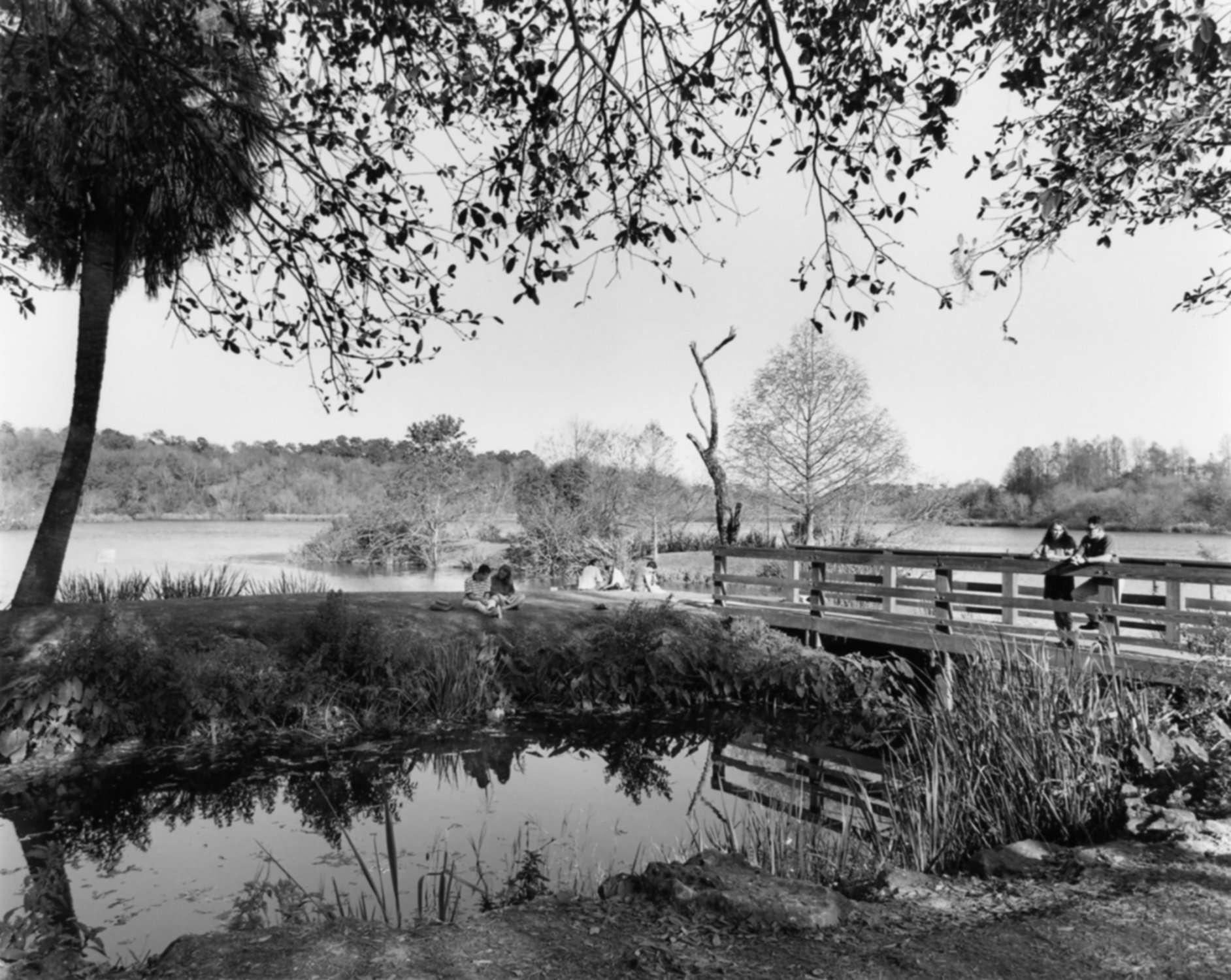 Lake Alice c. 1980