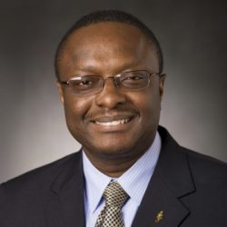 Professional headshot of Chimay Anumba