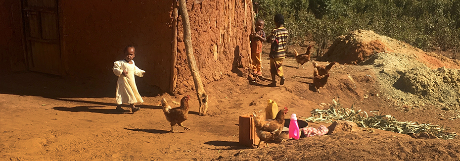 Livestock, Sanitation, Hygiene, and Child Growth: Exploring the complex underlying causes of child stunting